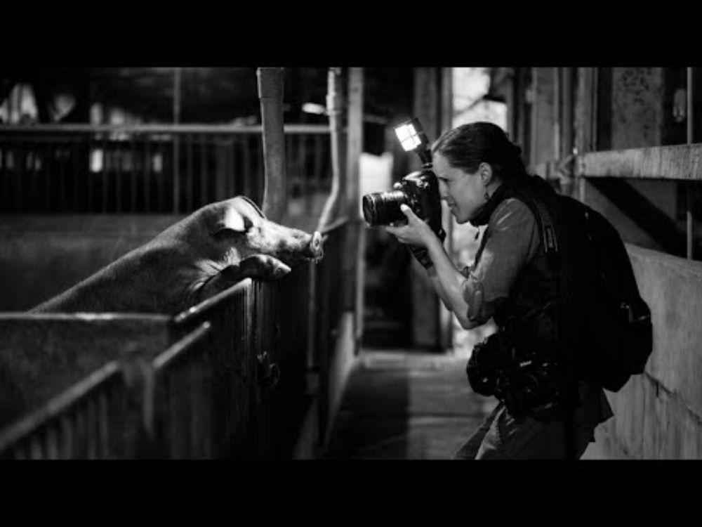 Legendary Animal Photojournalist Jo-Anne McArthur, Behind the Lens