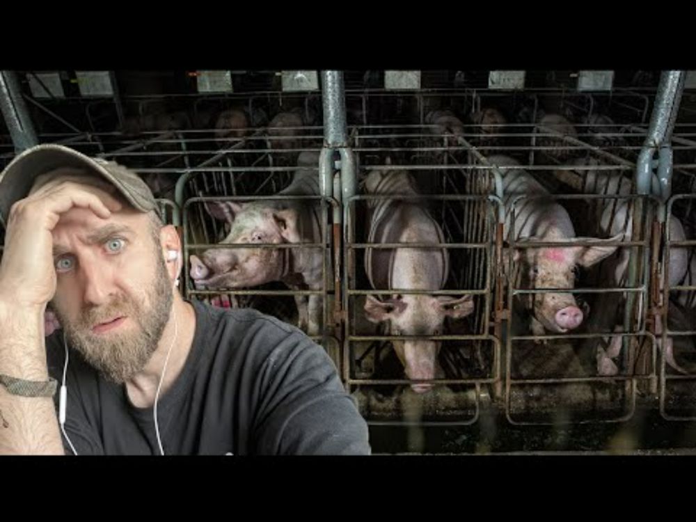 Lawmakers Suck Up to the Pork Industry in Shameless Prop 12 Hearing