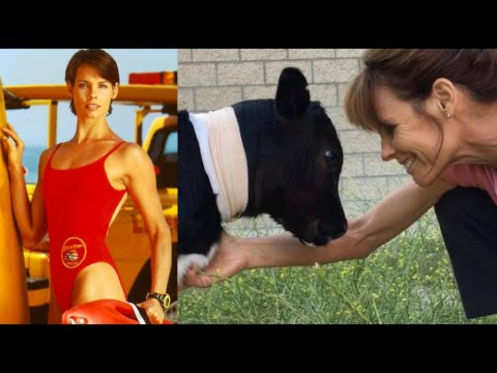 From Baywatch to Standing Trial for Animal Rescue (feat. Alexandra Paul)