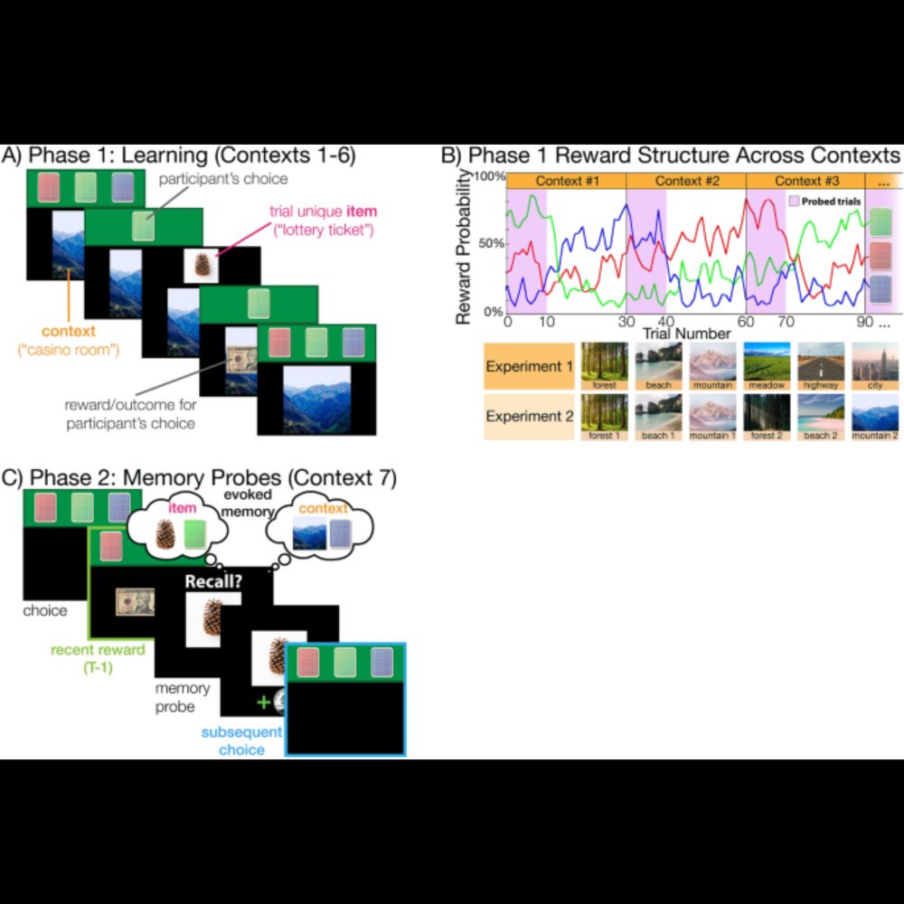 Memory precision and age differentially predict the use of decision-making strategies across the lif...