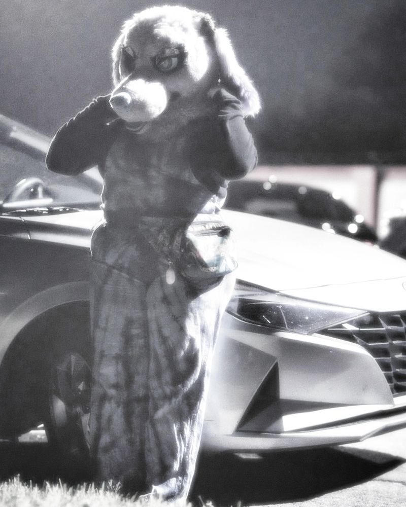 Someday's it's easy, Someday its not..