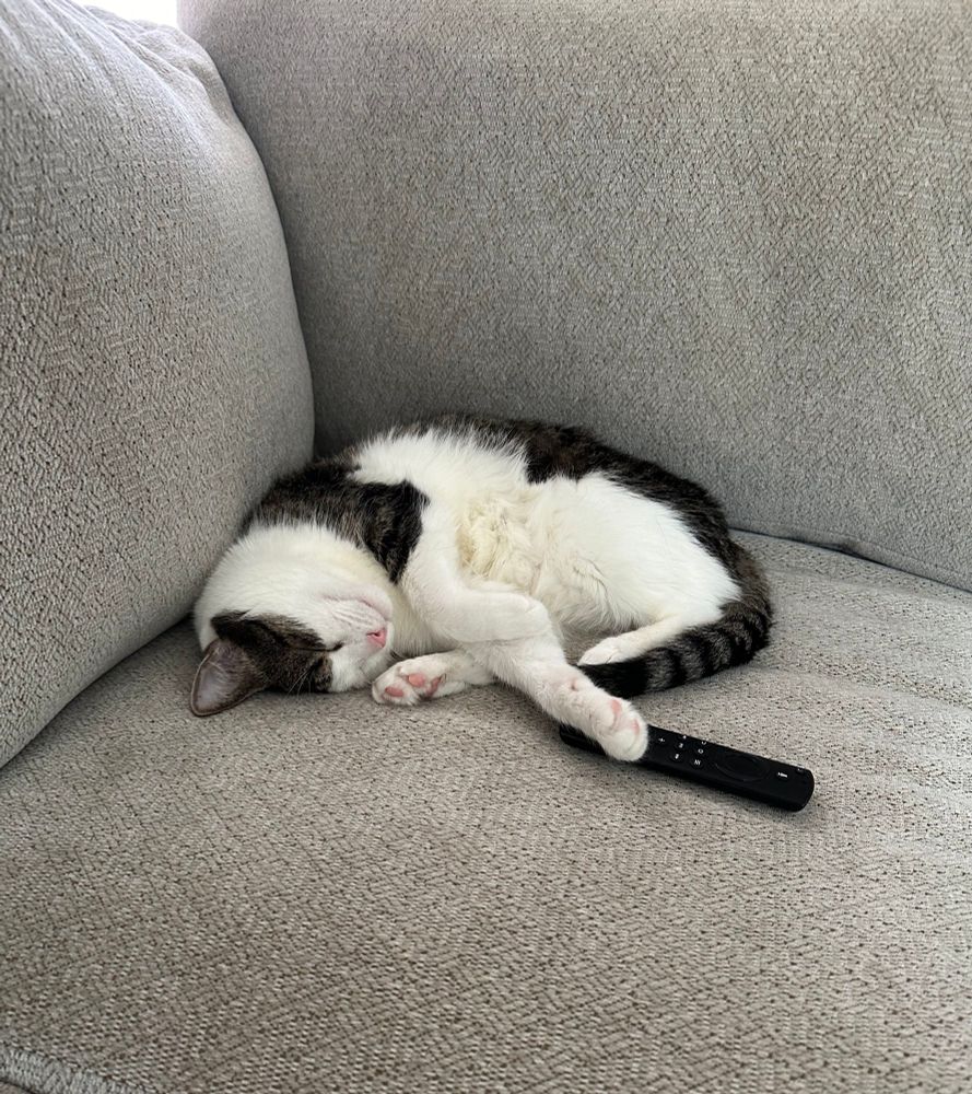 Black and white cat asleep on the couch, with legs going every direction and his front paw rested on the tv remote.