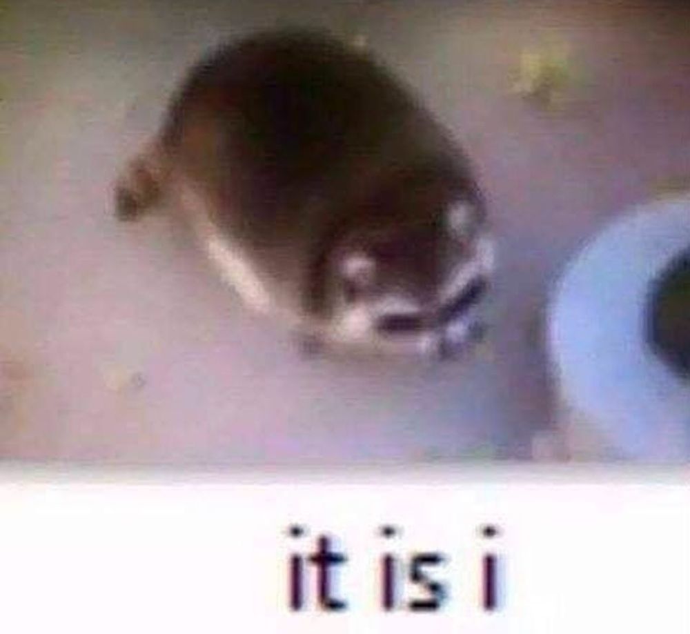 very low pixel, low quality image of a very rotund raccoon with the caption below reading, "it is i"