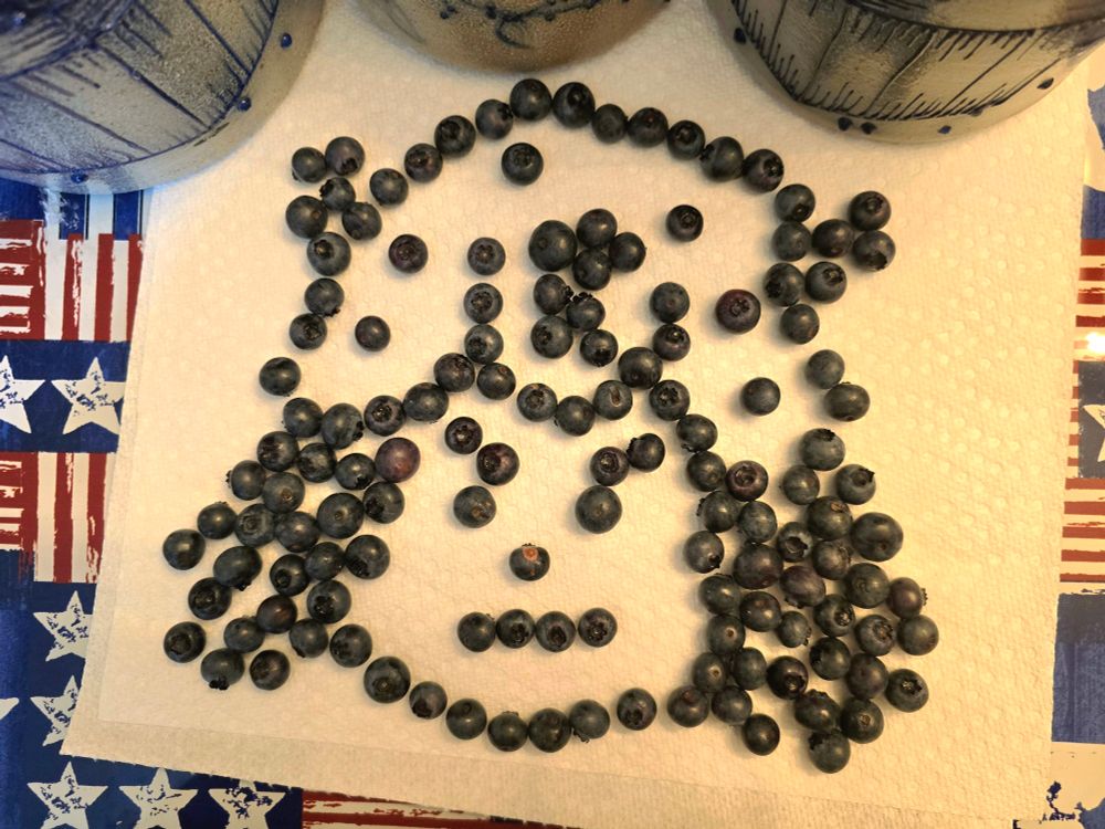 Blueberries arranged on a paper towel to resemble a mugshot of Johnny Joestar. 