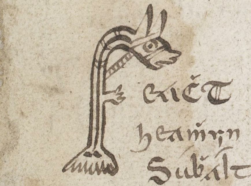 The first word ("Feacht") of Oidheadh Con Culainn in Uilliam Mac Cartain's manuscript. The F is a much better-drawn creature, looking a little concerned.