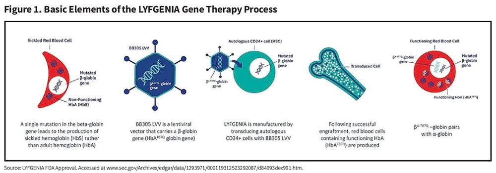 Figure 1. Basic Elements of the LYFGENIA Gene Therapy Process