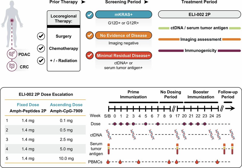 Extended Data Fig. 1: Study schema.