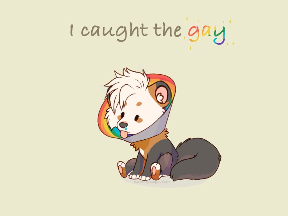 A marten in a protective cone collar with the words I caught the gay above. 