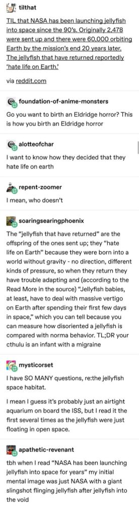 Flinging Kelly fish into the void