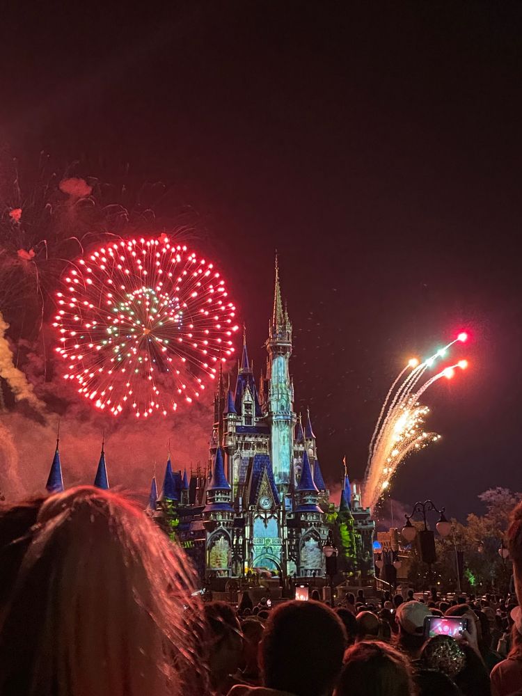 Fireworks over Cinderella's castle at Disney World. 