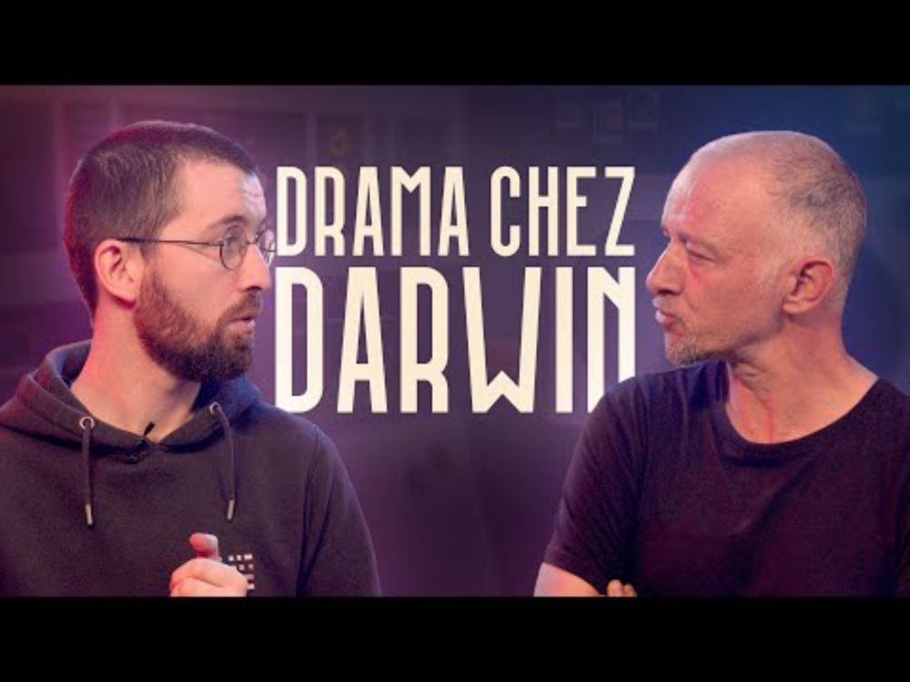 Et ta mère elle descend du singe ? | Avec @MathadorLaChaine