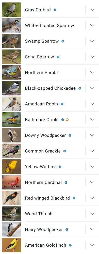 Gray Catbird
White-Throated Sparrow
Swamp Sparrow
Song Sparrow
Black-capped Chickadee
American Robin
Baltimore Oriole
Downy Woodpecker
Common Grackle
Yellow Warbler
Northern Cardinal
Red-winged Blackbird
Wood Thrush
Hairy Woodpecker
American Goldfinch