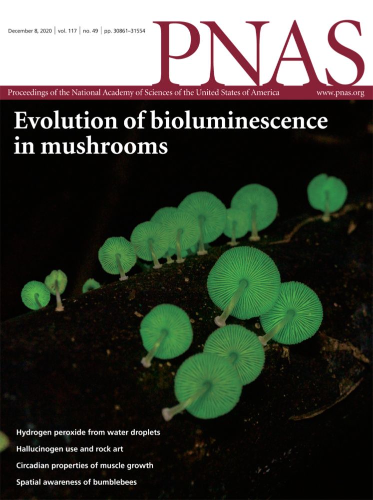 Layer and rhythm specificity for predictive routing | Proceedings of the National Academy of Sciences