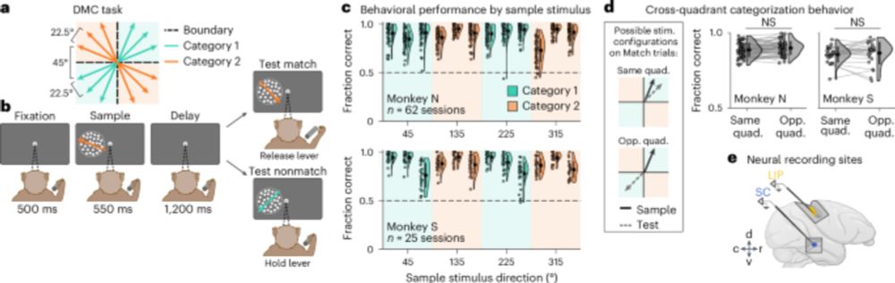 Primate superior colliculus is causally engaged in abstract higher-order cognition - Nature Neuroscience