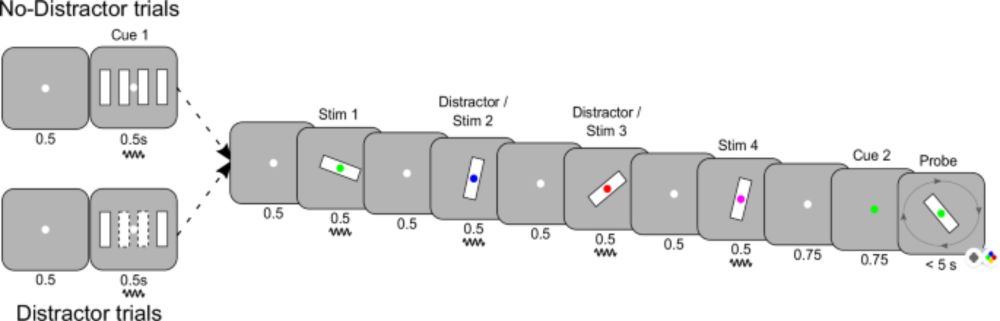 Distinct functions for beta and alpha bursts in gating of human working memory - Nature Communications