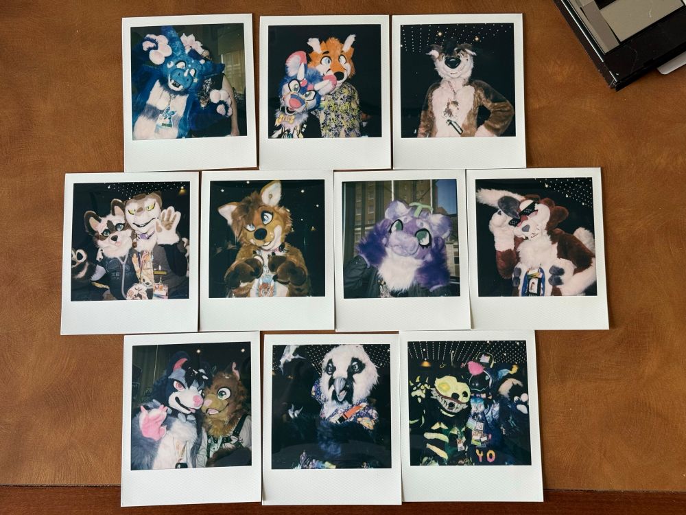 10 Polaroid brand instant photographs of various fuzzy creatures spotted at Eufuria 2025 in Albany, NY, laid out on a Formica laminate tabletop