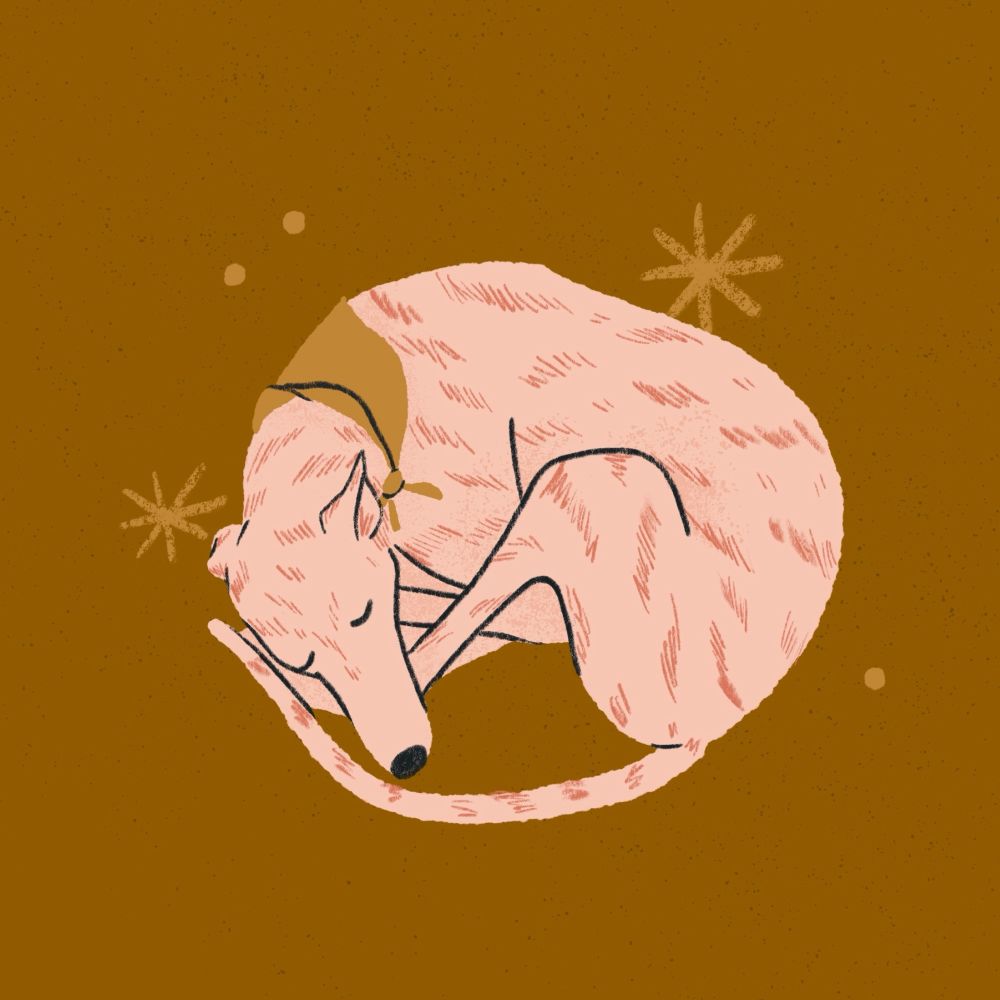An illustration of a pink greyhound curled in a ball fast asleep. She's wearing a mustard yellow bandana