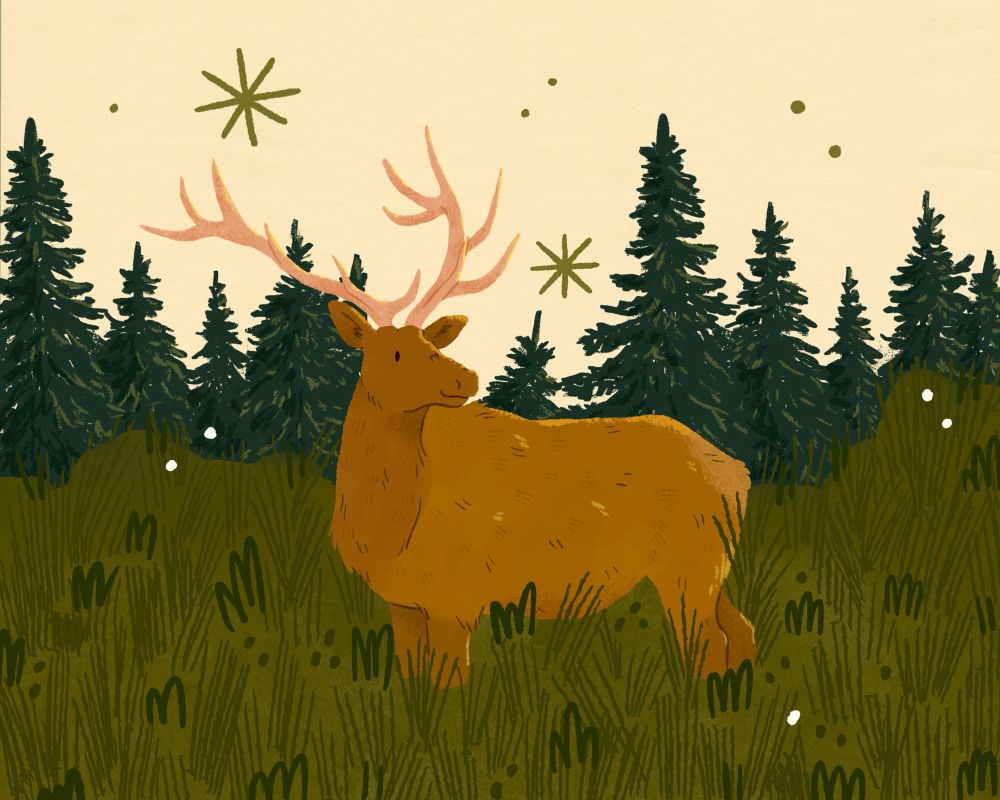 Illustration of an elk standing serenely in a forest and tall green grass, smiling and looking to his left