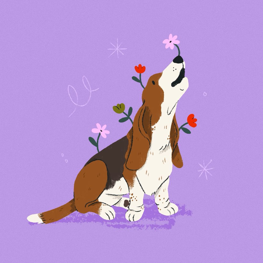 An illustration of a basset hound howling happily, with flowers growing along its head and back