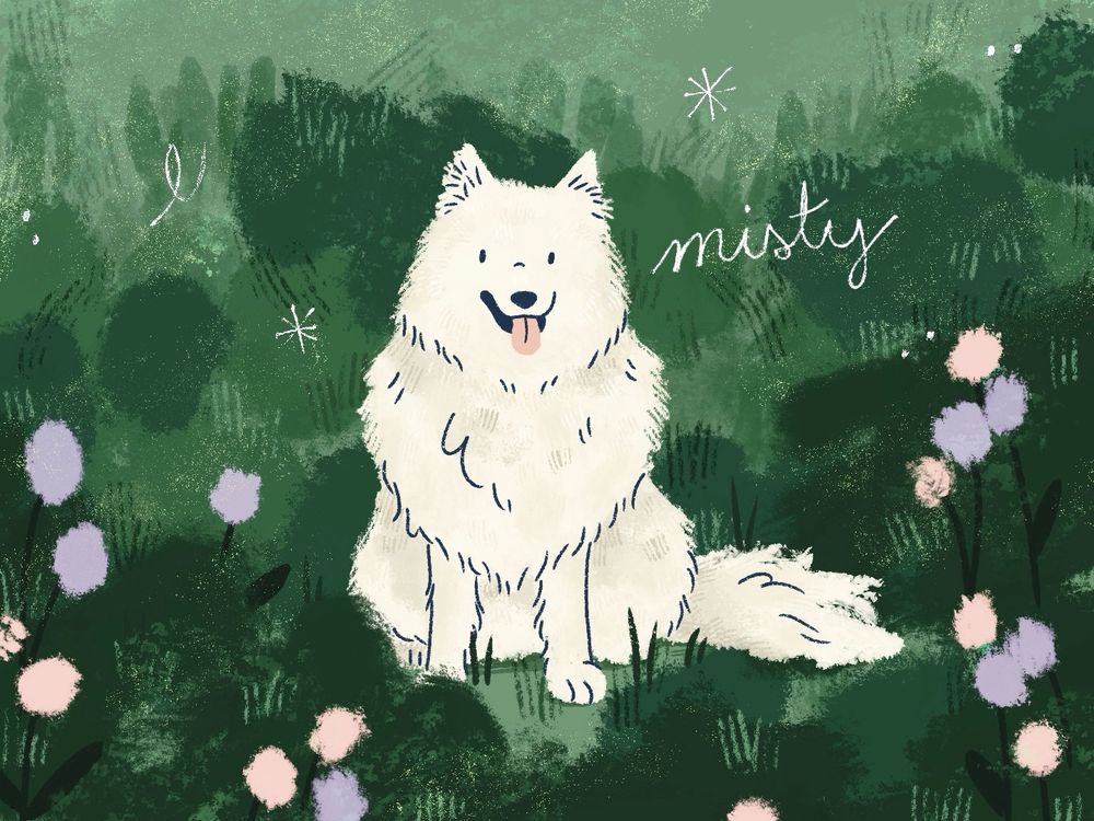 Illustration of a white Samoyed dog named Misty sitting in a lush green landscape