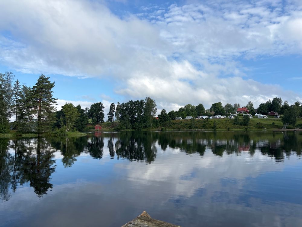 Ein Landschaftsfoto vordergründig mit einem kleinen See und im Hintergrund ein paar Bäume