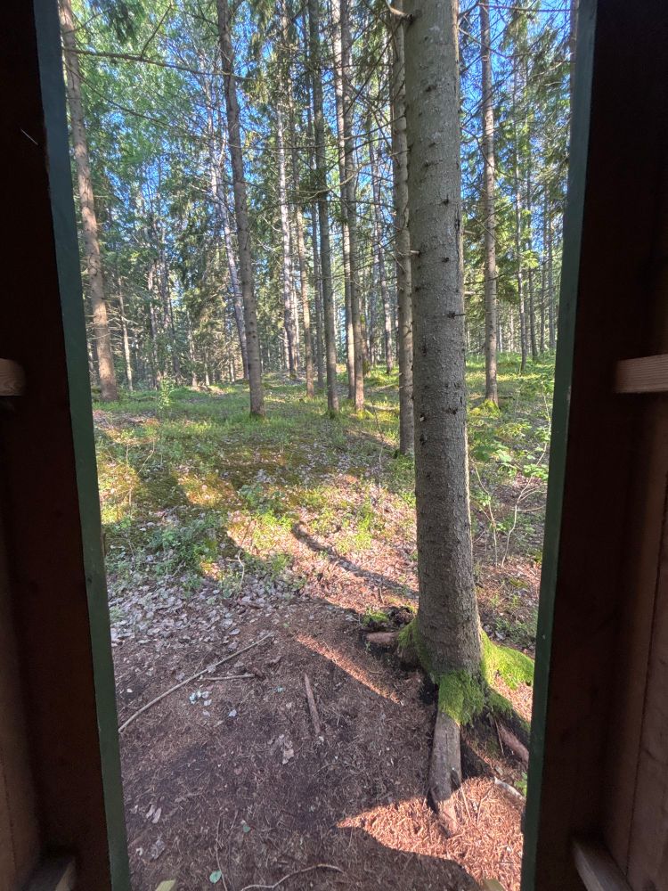 Foto aus einem Plumpsklo raus in den Wald
