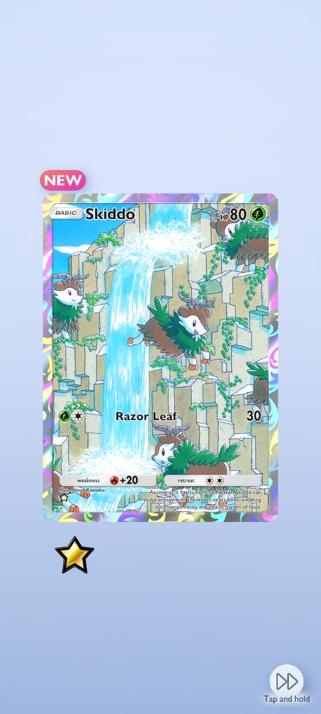 Skiddo Pokemon TCG card 