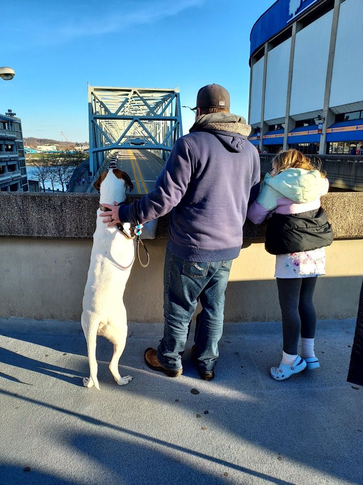 Looking over the bridge before going into the game.