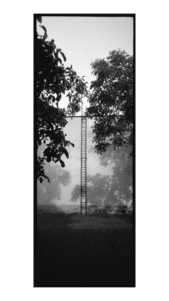 A panorama of a ladder leaning against a wall.