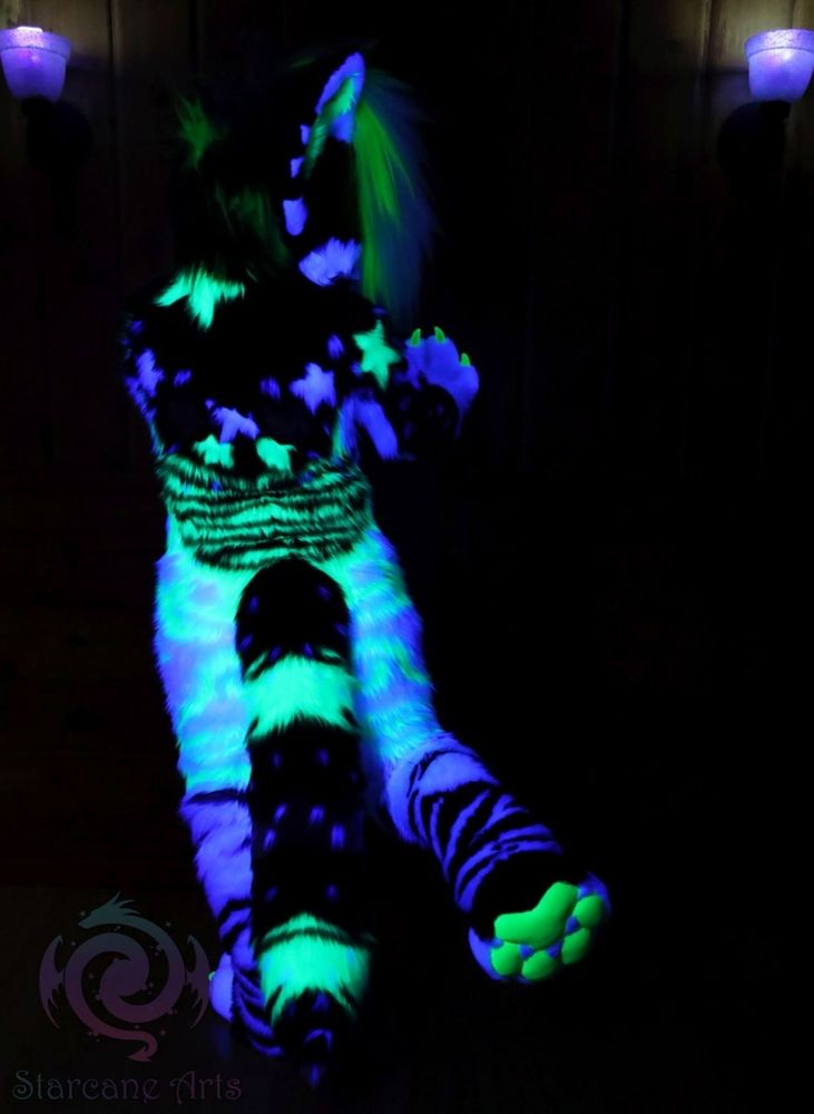A black, white, gray, and green dog fursuiter standing in a dark room. They are framed by two purple light up sconces toward the top of the image. They have a lot of complex striped markings, as well as many star markings and a "scene" hair aesthetic. Their back is facing the camera and they have their right foot lifted to show the green paw pads underneath. The room is dimly lit by black light, showing that all of the green and white on the suit is UV reactive. The Starcane Arts logo can be seen in the lower left corner.