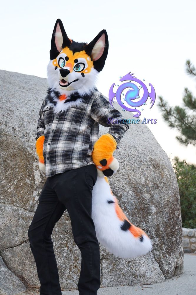An orange, black, and white koi themed coyote fursuiter is posing for the camera.