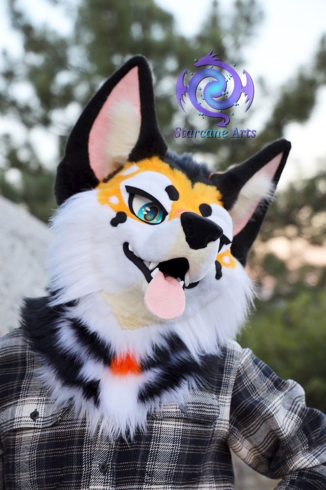 An orange, black, and white koi themed coyote fursuiter is posing for the camera.