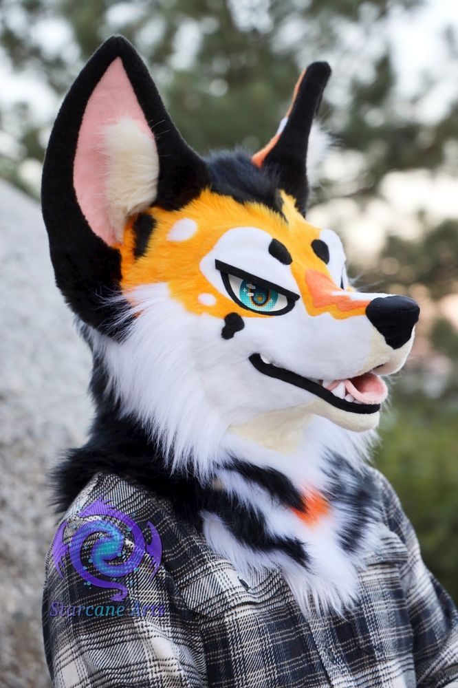 An orange, black, and white koi themed coyote fursuiter is posing for the camera.