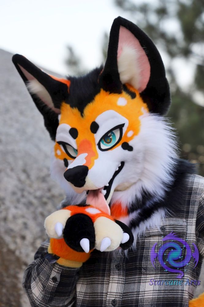 An orange, black, and white koi themed coyote fursuiter is posing for the camera.