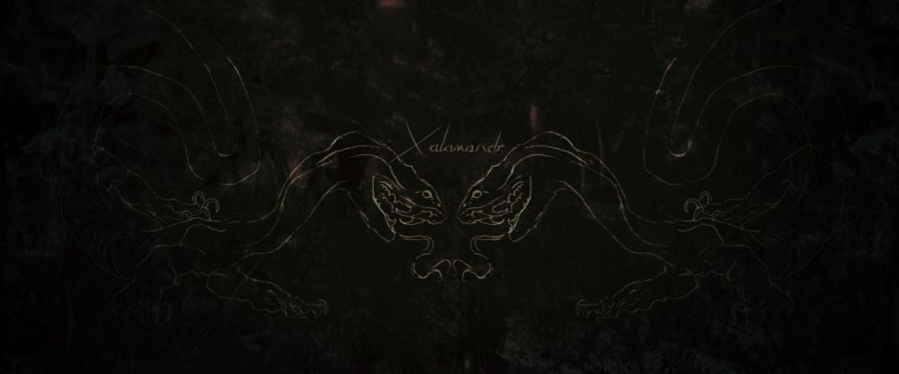 Digital art of Cobra Dragon creatures, drawn in gold lineart over dark background. It reads "Xalamandr" in the middle.