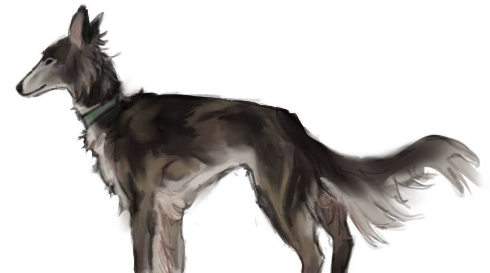 rough painterly sketch of a silken windhound facing left