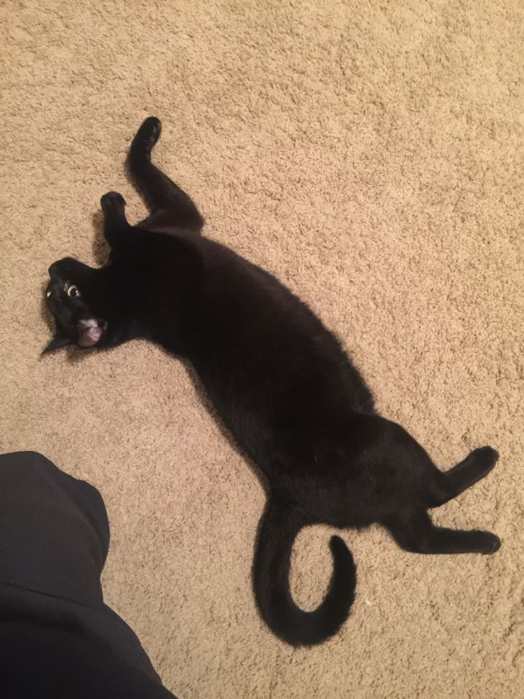 Sam being adorable 