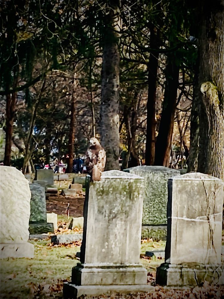 A bird of prey perched upon a cemetery headstone in autumn