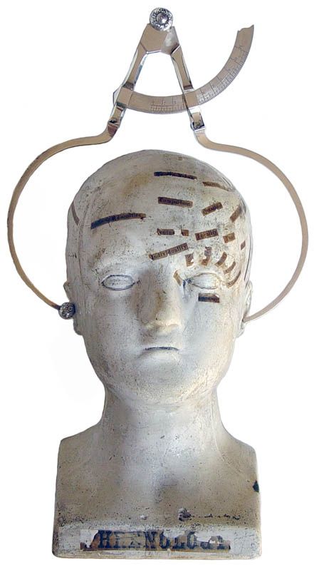 A white phrenologoy bust with head calipers in the ears. 