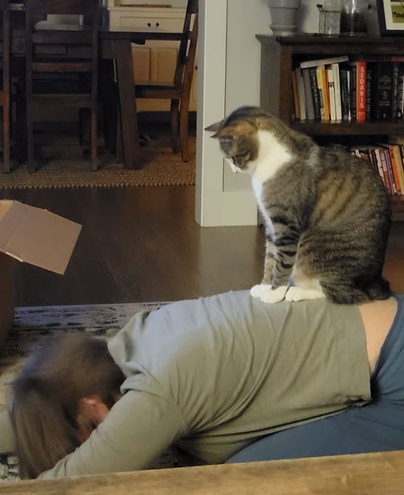 Cat sitting on my back while I am stretching in a child's pose yoga position. 
