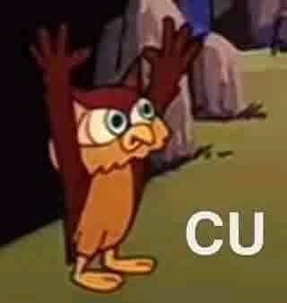 Um desenho de uma coruja de cor marrom e amarela com os braços pro alto e a legenda: cu
