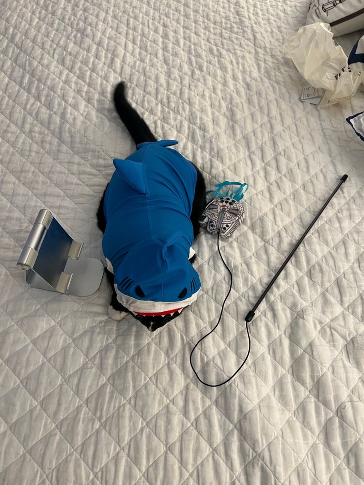 Batman looking chonky in a shark hoodie with a millennium falcon toy