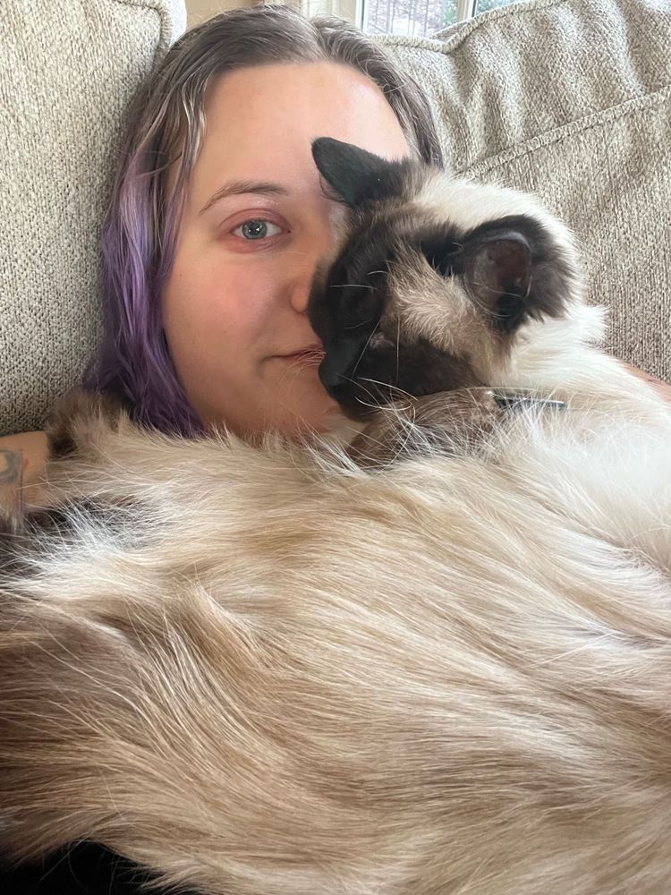Diane (purple hair) cuddles Watson a ragdoll