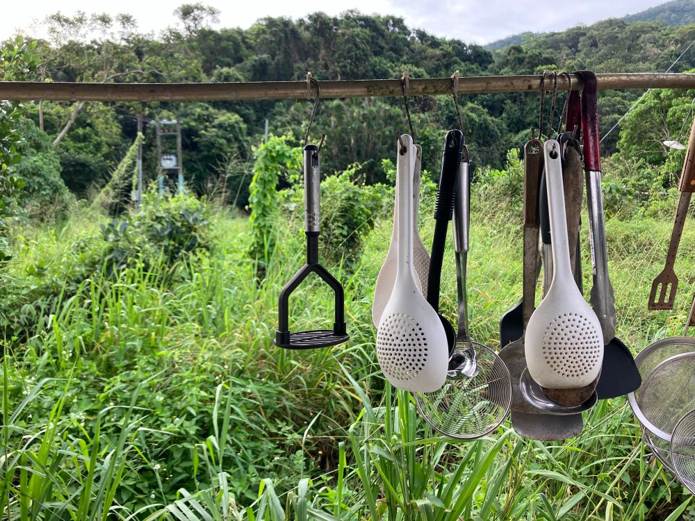 Some Masher, ladle, skimmer, spatula, strainer, tongs suspended from a metal bar in front of a lot of vegetation (plants and trees) 