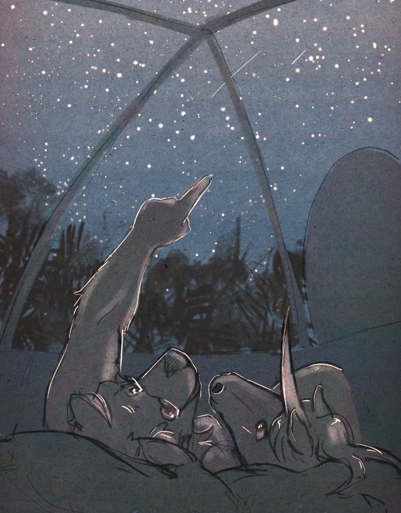 Hops the Dhole and Skippy the kelpiecorn lay beside each other in the tent looking up at a night sky 