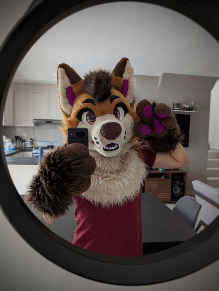 Happy red fox, wishing you a good time