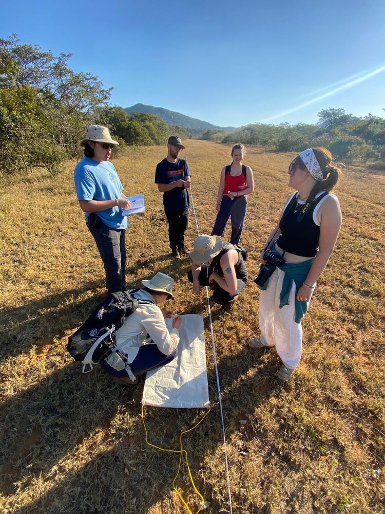 Students on a field in sunny South Africa surveying tick populations