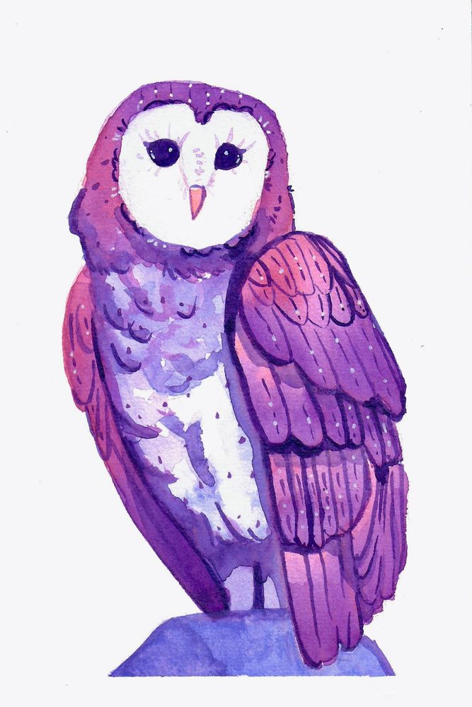 Watercolor painting of a Barn Owl