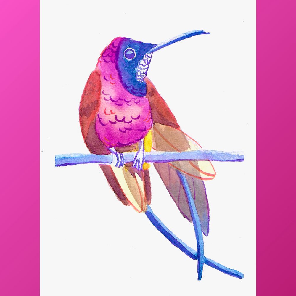 Watercolor painting of a Crimson Topaz Hummingbird