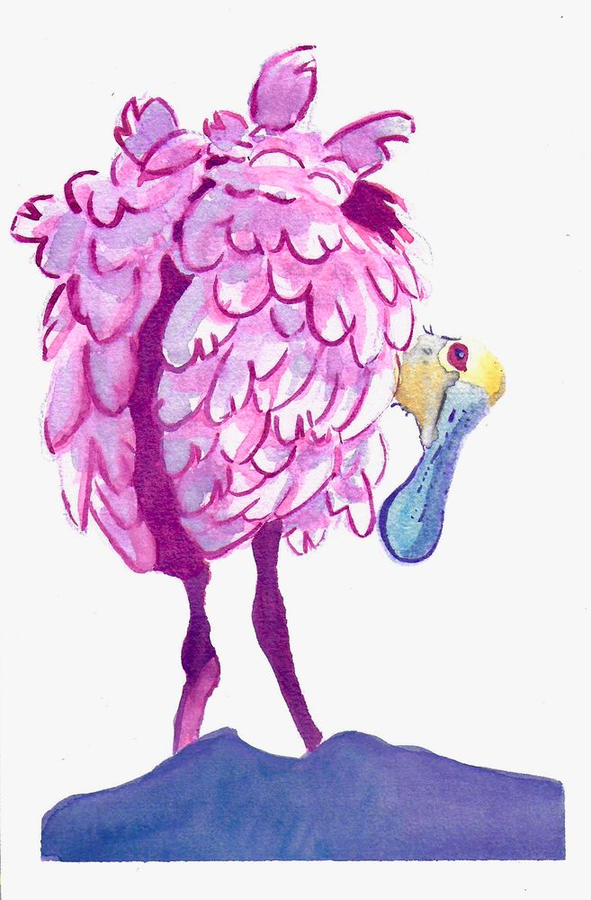 Watercolor painting of a Rosetae Spoonbill bird